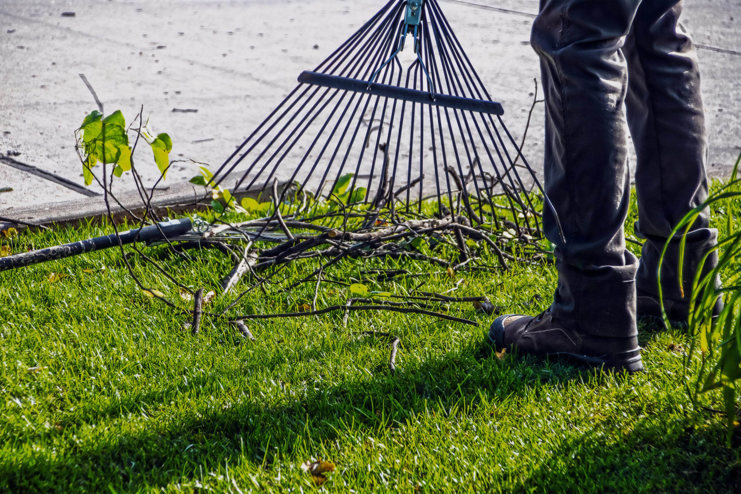 A lawn technician cleans a lawn after a hurricane.
